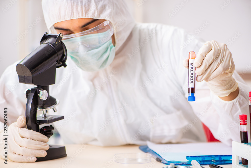 Young handsome lab assistant testing blood samples in hospital Young handsome lab assistant testing blood samples in hospital