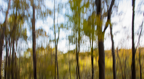 Wallpaper Mural Impressionist Forest Banner Torontodigital.ca