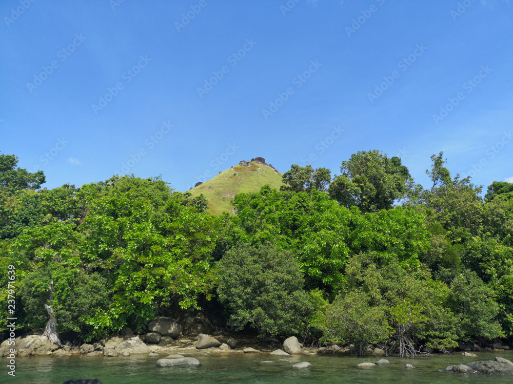Stunning view the ocean with forest and blue sky background. Stunning view the ocean with forest and blue sky background.
