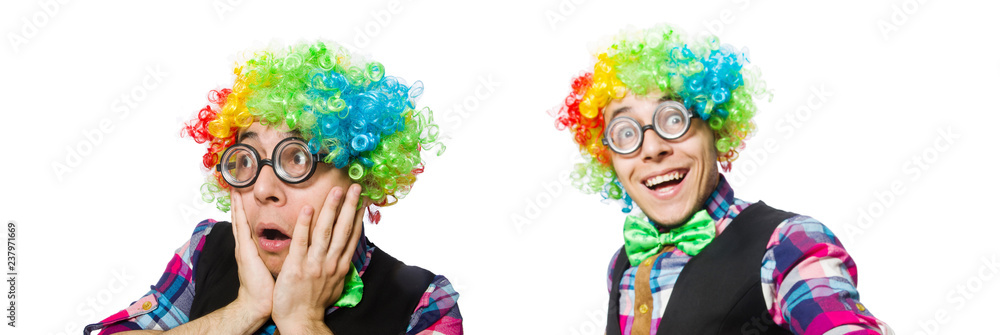 Clown isolated on the white background Clown isolated on the white background