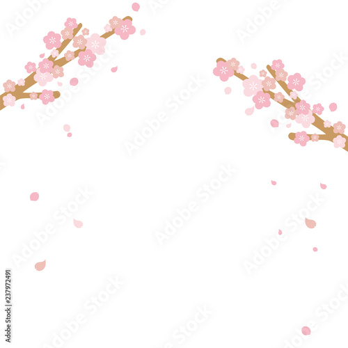 桜イラスト