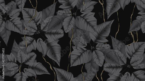 Botanical seamless pattern, black Poinsettia plant with vines on black background