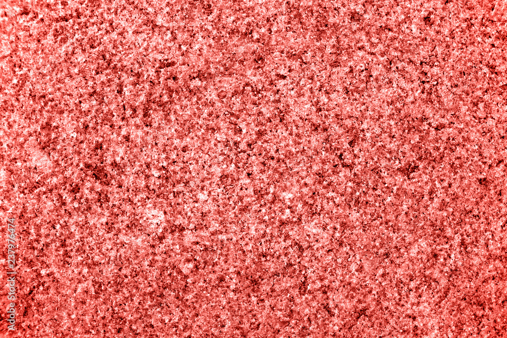 Fototapeta premium Trend concept color of the year 2019 Living Coral.