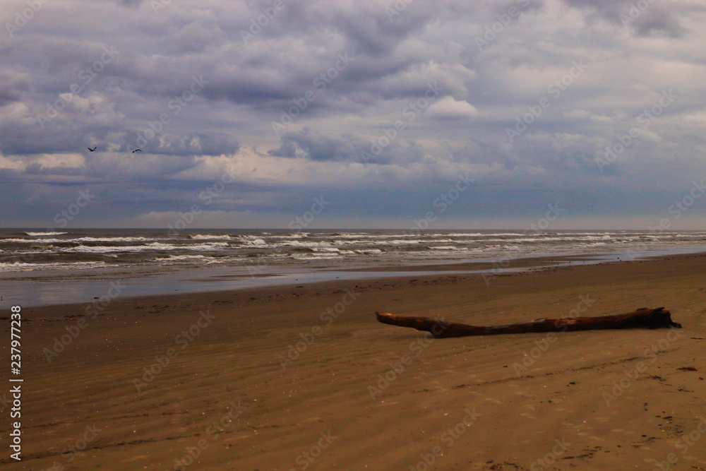 Galveston Beach