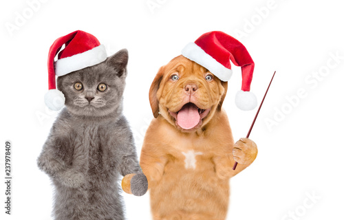 Funny kitten and puppy in red christmas hats with pointing stick. isolated on white background © Ermolaev Alexandr