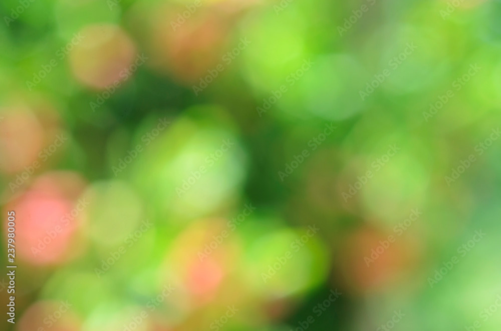 Romantic bokhe lights with shine on nature abstract backgrounds Romantic bokhe lights with shine on nature abstract backgrounds