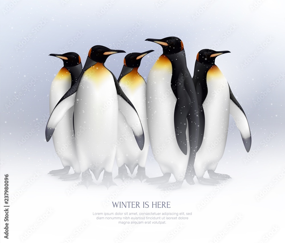 Fototapeta premium Penguins Realistic Composition 