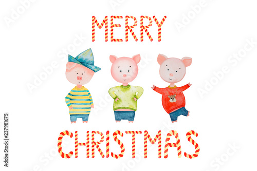 3 little pigs, fictional characters and the inscription Merry Christmas. watercolor illustration. pig symbol of 2019