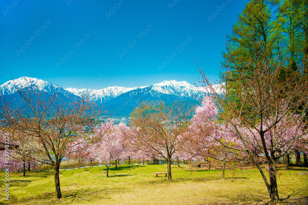 Japan Alps from Nagano side in Japan. Japan Alps is located between Nagano and Toyama prefectures. Japan Alps from Nagano side in Japan. Japan Alps is located between Nagano and Toyama prefectures.