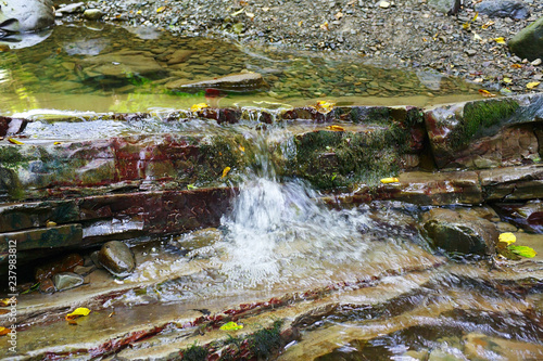 Fototapeta Naklejka Na Ścianę i Meble -  Pure stream of the mountain creek flows between the rocks