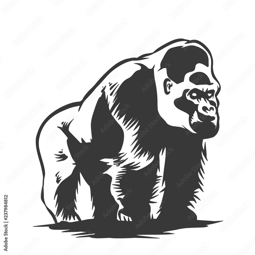 Black and white gorilla illustration Black and white gorilla illustration