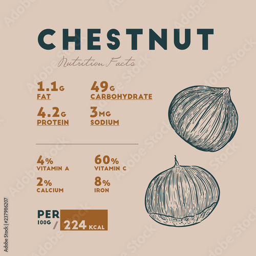 Chestnut health benefits. Vector illustration