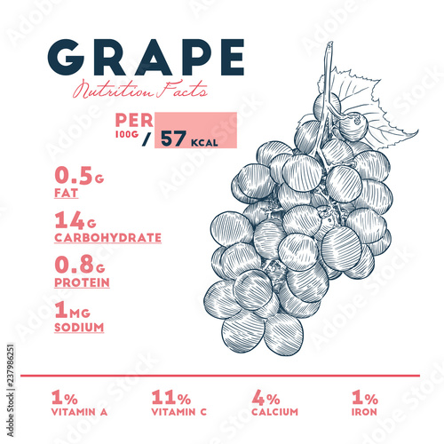 Nutrition facts of grape, hand draw sketch vector.