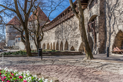 Fortification wall in the old center of Tallinn photo