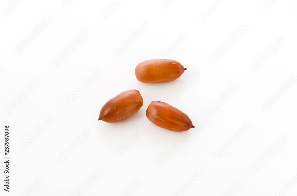 Obraz premium どんぐり