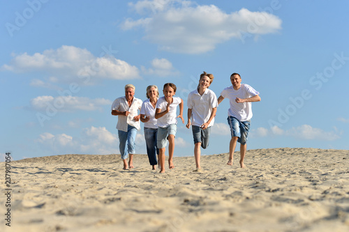 Portrait of grandparents with their grandchildren on the sand