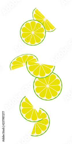 Falling lime slices isolated on white background. Vector.