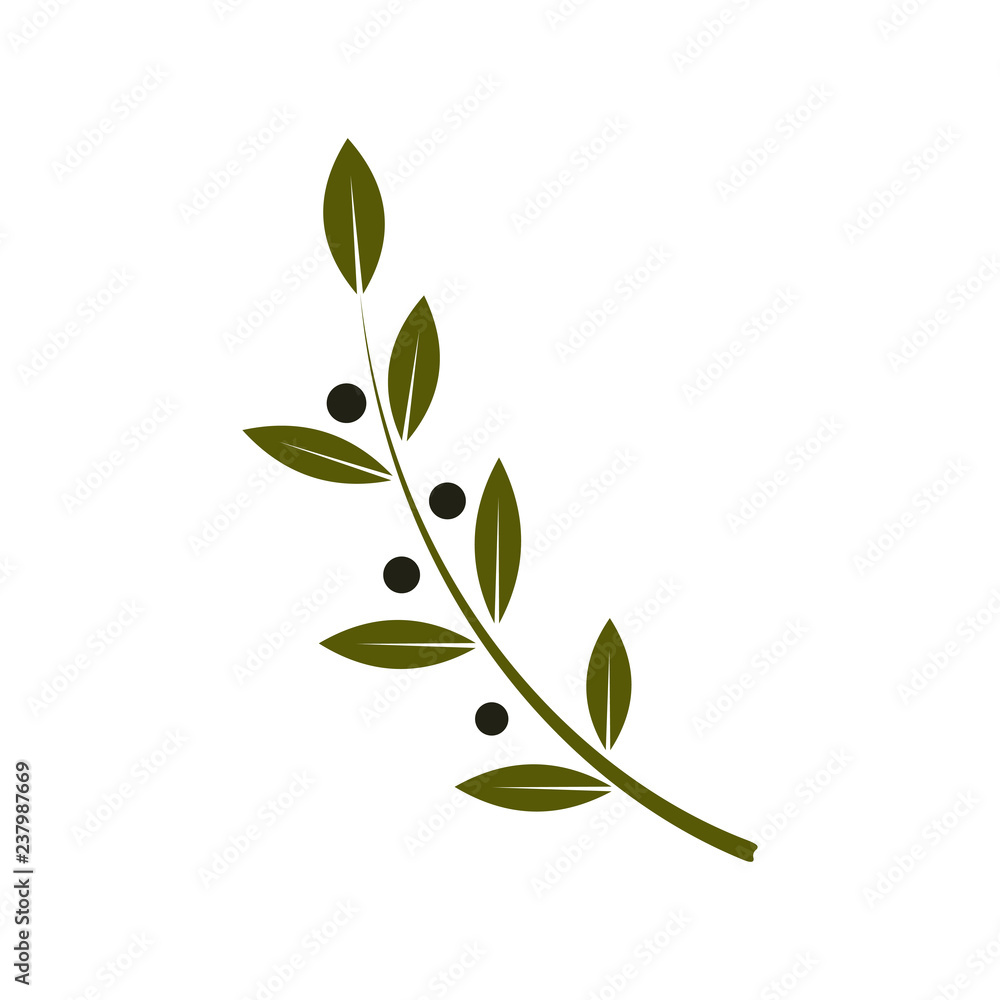 Obraz premium Olive Branch Flat Icon. Vector Illustration.