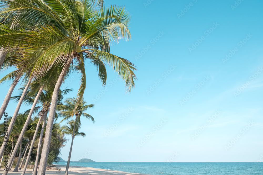 Beautiful landscape of coconut palm tree on tropical beach (seascape) in summer. Summer background concept.