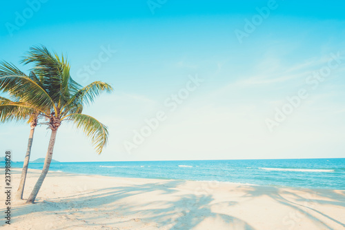 Fototapeta Naklejka Na Ścianę i Meble -  Beautiful landscape of coconut palm tree on tropical beach (seascape) in summer. Summer background concept.