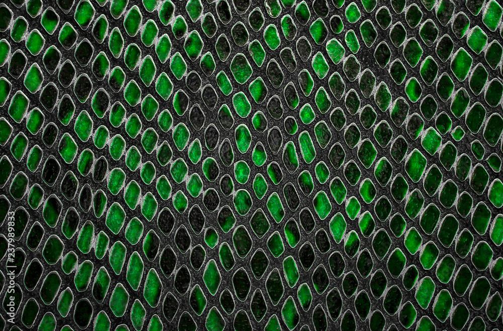 Green snake print sale