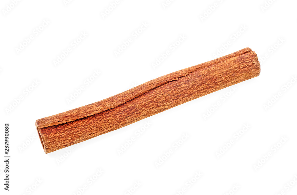 Single cinnamon stick isolated on white background Single cinnamon stick isolated on white background