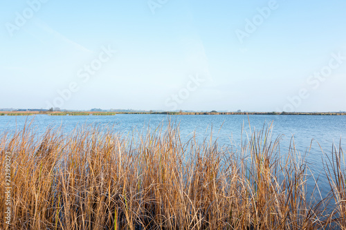 Nature reserve Sondeler Leijen.