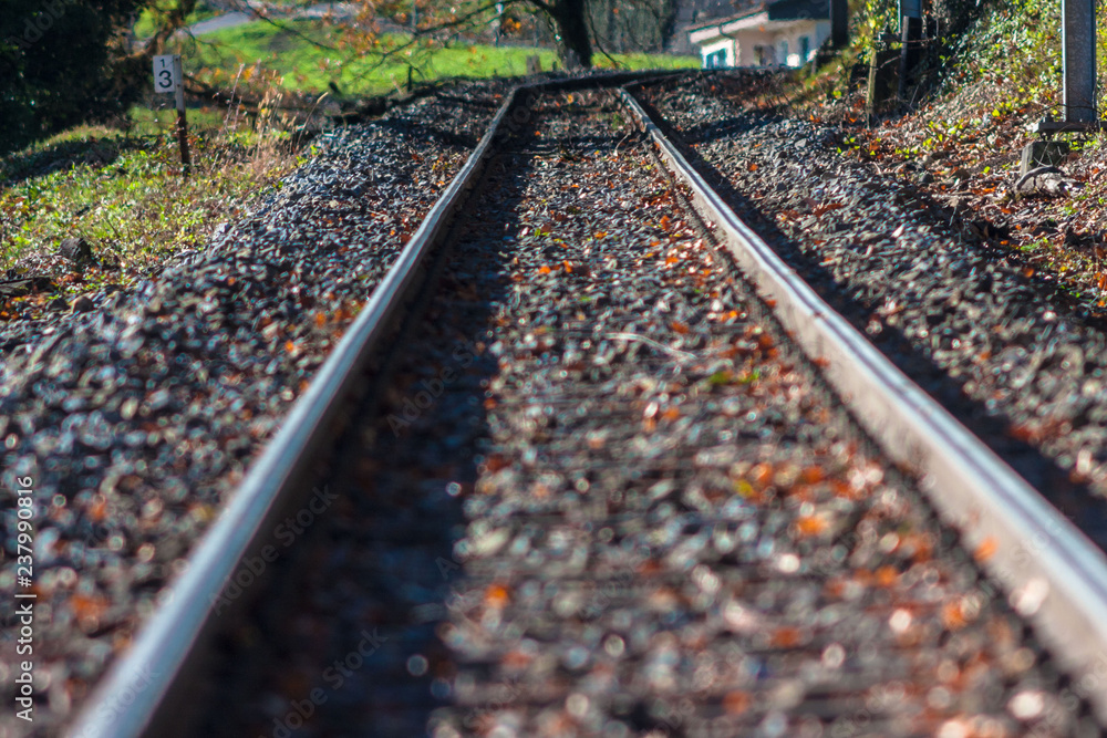 Naklejka premium Rail - Appenzeller Bahn
