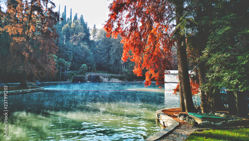 hot spring autumn pond Garda lake thermal park photo