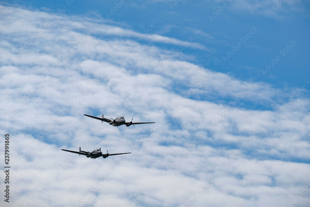 Fototapeta premium vol de flamant