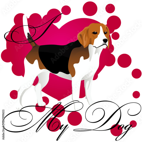 I love my beagle