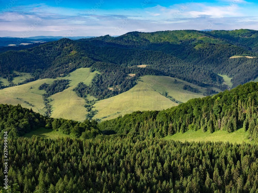 Naklejka premium View from Mount Wysoka (Vysoke Skalky), Pieniny, Slovakia-Poland border. View to the south.