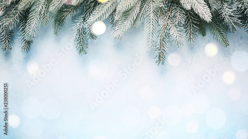 Fir branches on a blue background with bokeh lights.