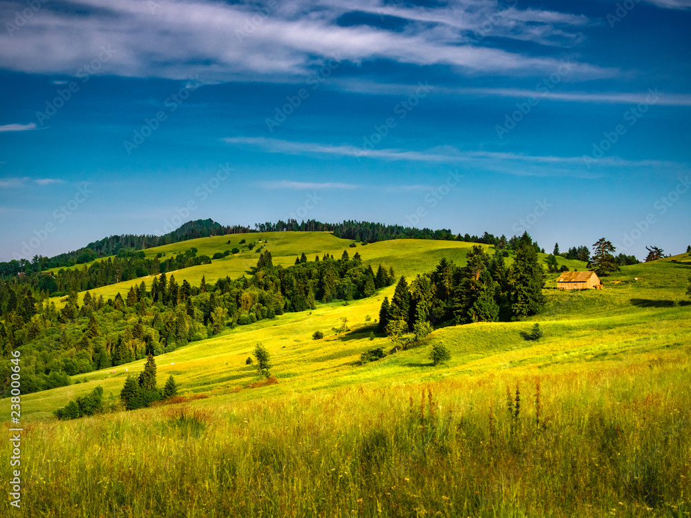Mounts Durbaszka, Borsuczyny  and Wysoka. View from near Mount Wysoki Wierch. Pieniny Mountains, Poland.