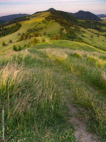 Pieniny Mountains in summer at sunset. View from Wysoki Wierch toward Wysoka Mount.