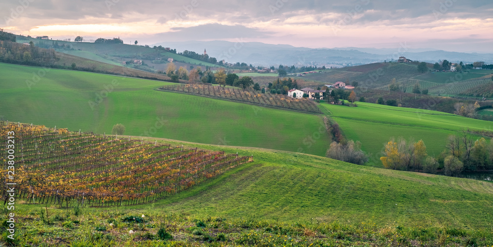 Cultivated fields and vineyards in the southwest of Bologna: Protected Geographical Indication area of typical wine named 