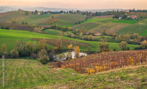 Cultivated fields and vineyards in the southwest of Bologna: Protected Geographical Indication area of typical wine named "Pignoletto". Bologna province, Emilia Romagna, Italy.