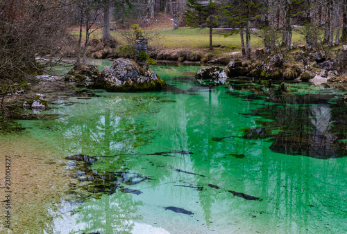 Beautiful natural wonder  green river in the alps