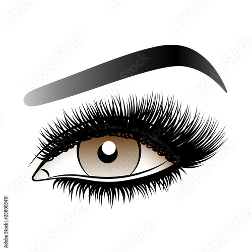 Brown woman eye with long false lashes with eyebrows.
