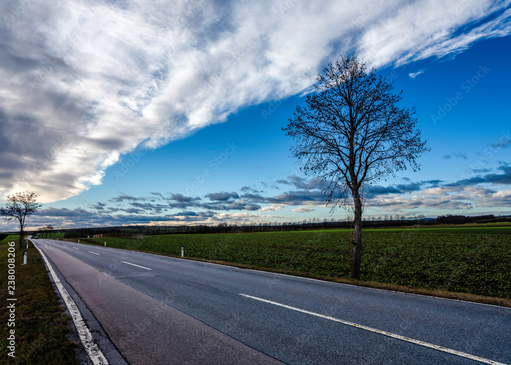 Fototapeta premium The local road to Wien with view on the tree and blue sky
