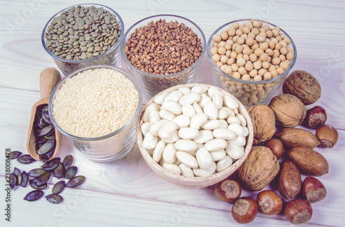 Food products containing protein of vegetable origin.