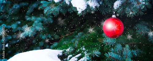 Red Ball Hanging At Fir Bra...