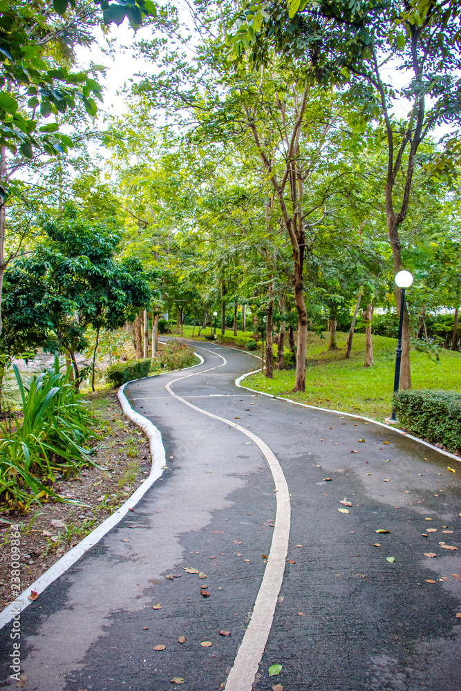 The running track in park. Jogging track at green garden.