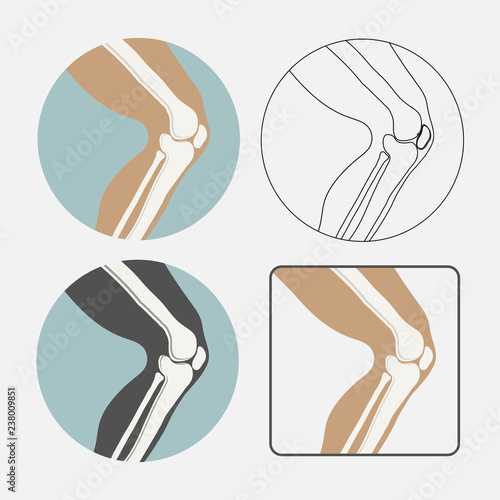 Human knee joint icon set, logo for orthopedic clinic, flat styl