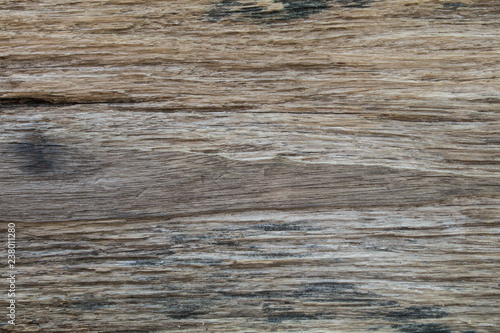 Close up wood wall abstract and texture background.Copy space wooden background.