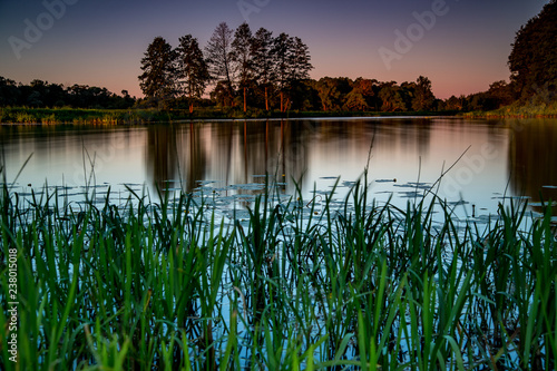 Piękny i spokojny poranek nad wodą wśród szumiących traw