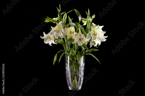 white lillies in vase on black background © Photop
