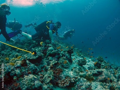 Divers attach themselves using reef hooks in currents in the Maldives