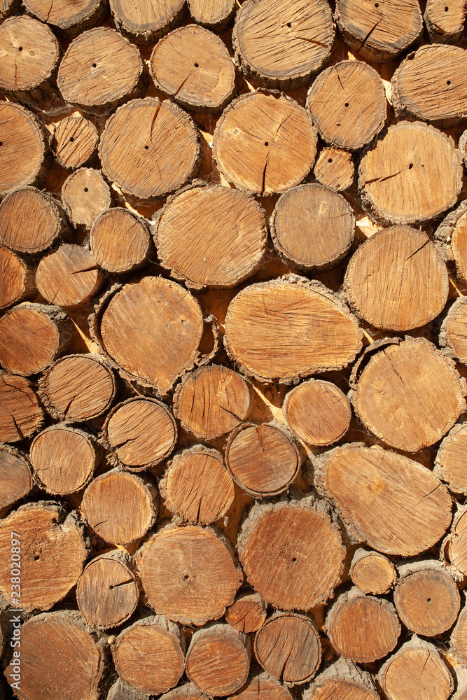 wood round timber background close up. wooden pattern wood round timber background close up. wooden pattern