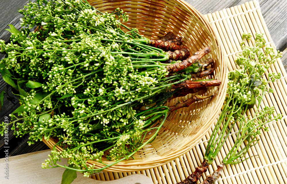 Φωτογραφία Health Benefits of Neem flower or  Indian Lilac homoeopathic medicines and Kills Head Lice